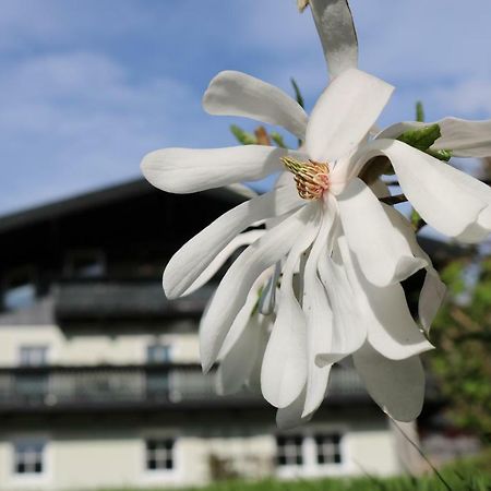 Haus Brandstatter Appartement Eben Im Pongau Buitenkant foto
