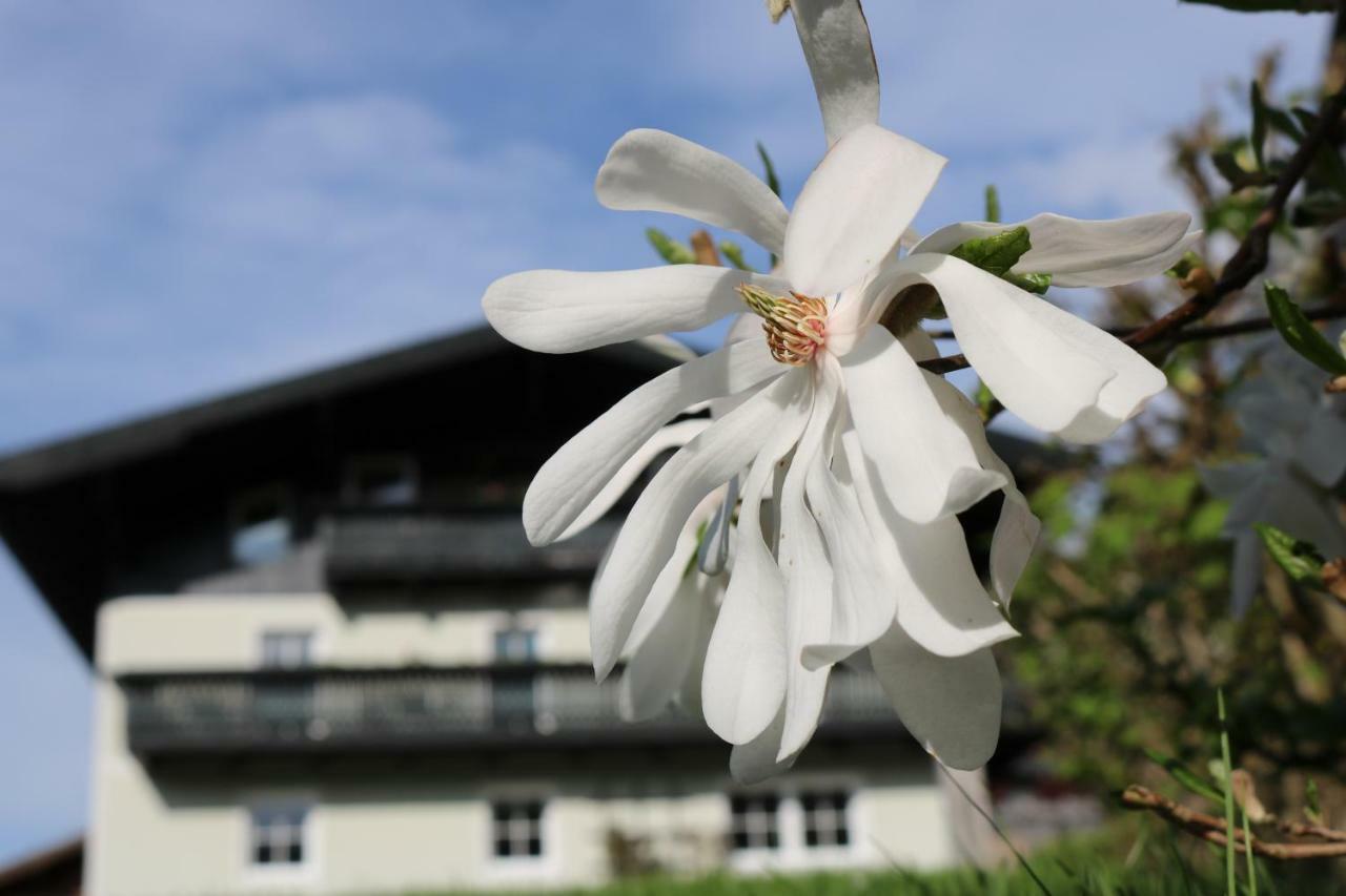 Haus Brandstatter Appartement Eben Im Pongau Buitenkant foto